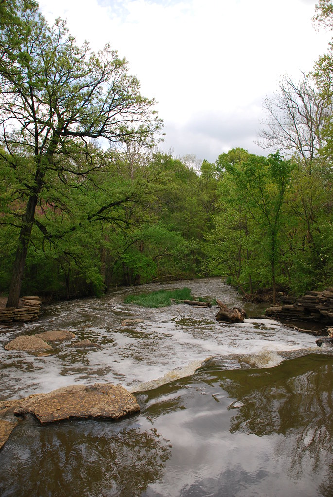 Waterfall Glen 054