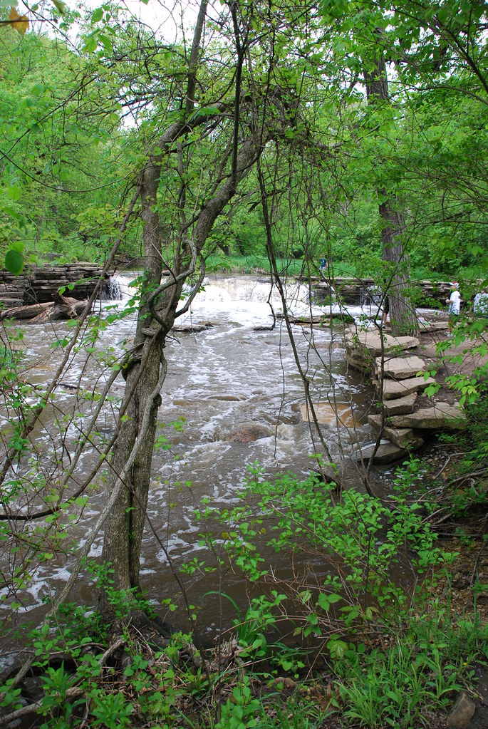 Waterfall Glen 060
