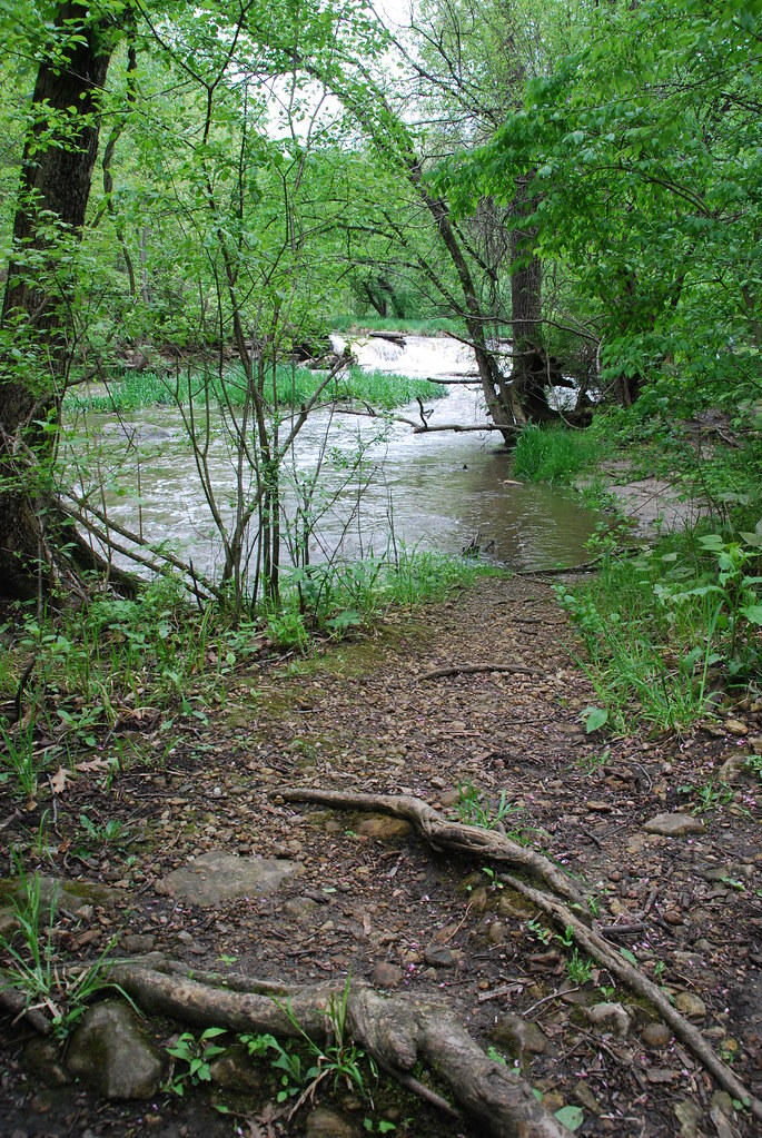 Waterfall Glen 063