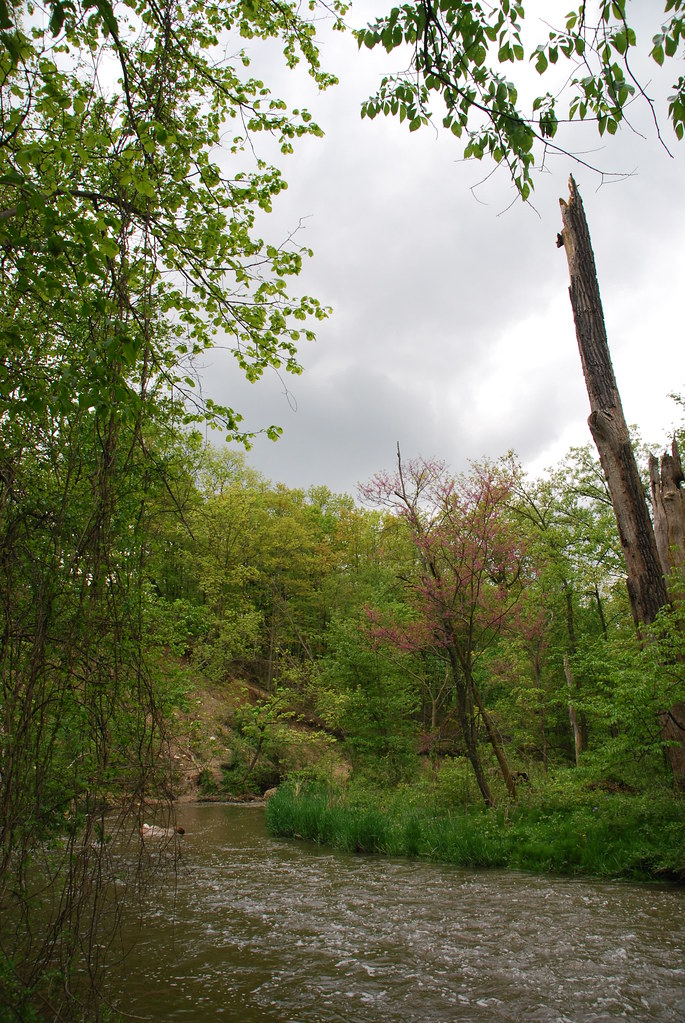 Waterfall Glen 064