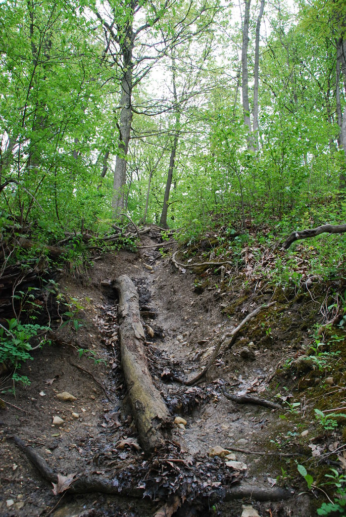 Waterfall Glen 067