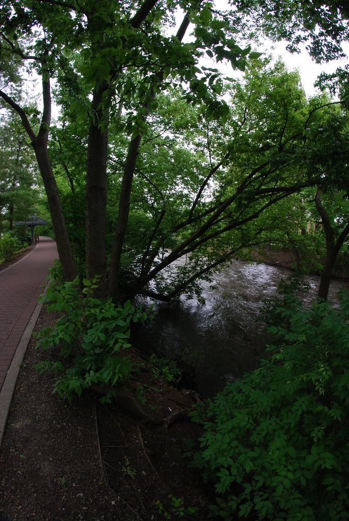 Naperville Riverwalk Fisheye 028