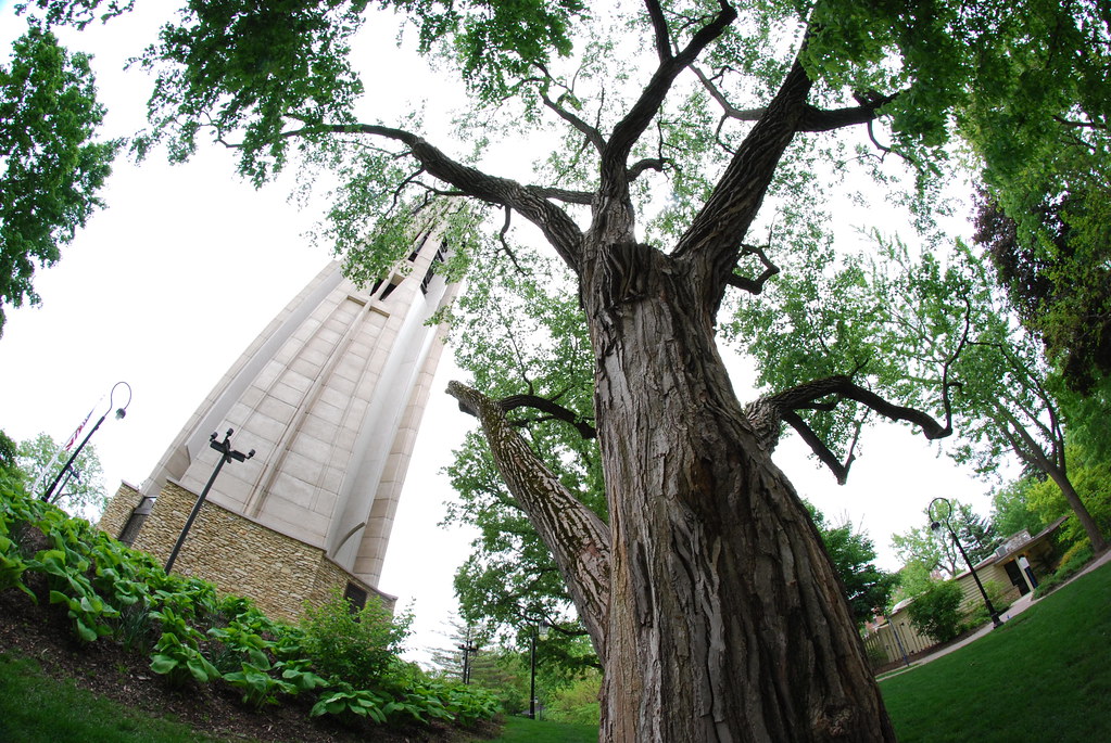 Naperville 021