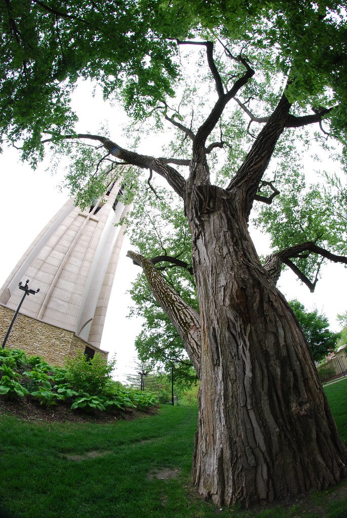 Naperville Riverwalk Fisheye 022