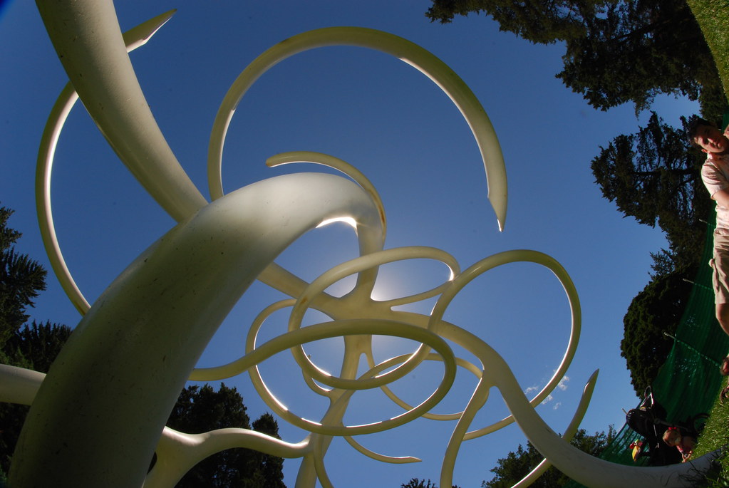 Steelroots at The Morton Arboretum 221