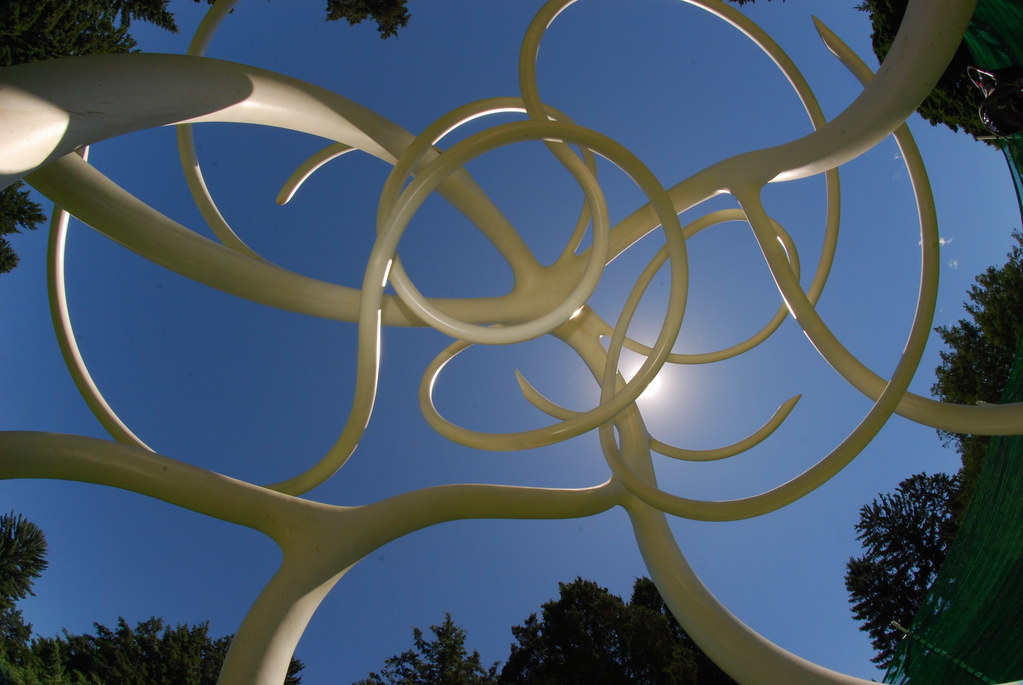 Steelroots at The Morton Arboretum 219
