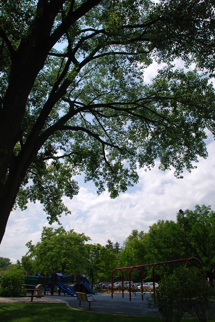 Naperville Riverwalk 181