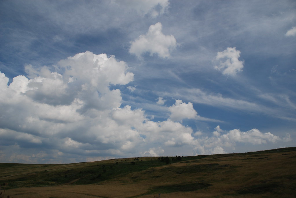 Naperville Scenic Overlook 069