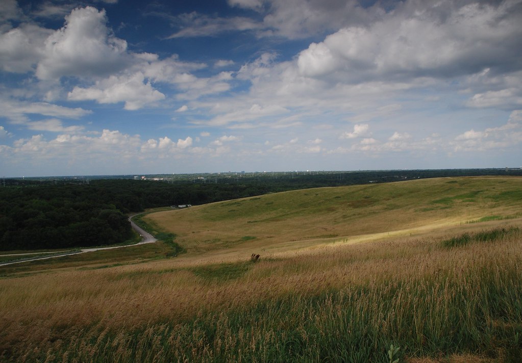 Naperville Scenic Overlook 231