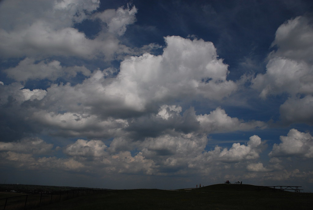 Naperville Scenic Overlook 142