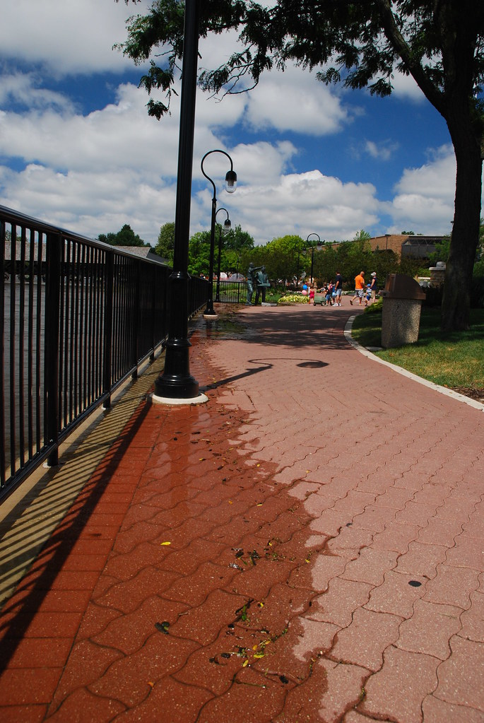 Naperville Riverwalk Flood 093