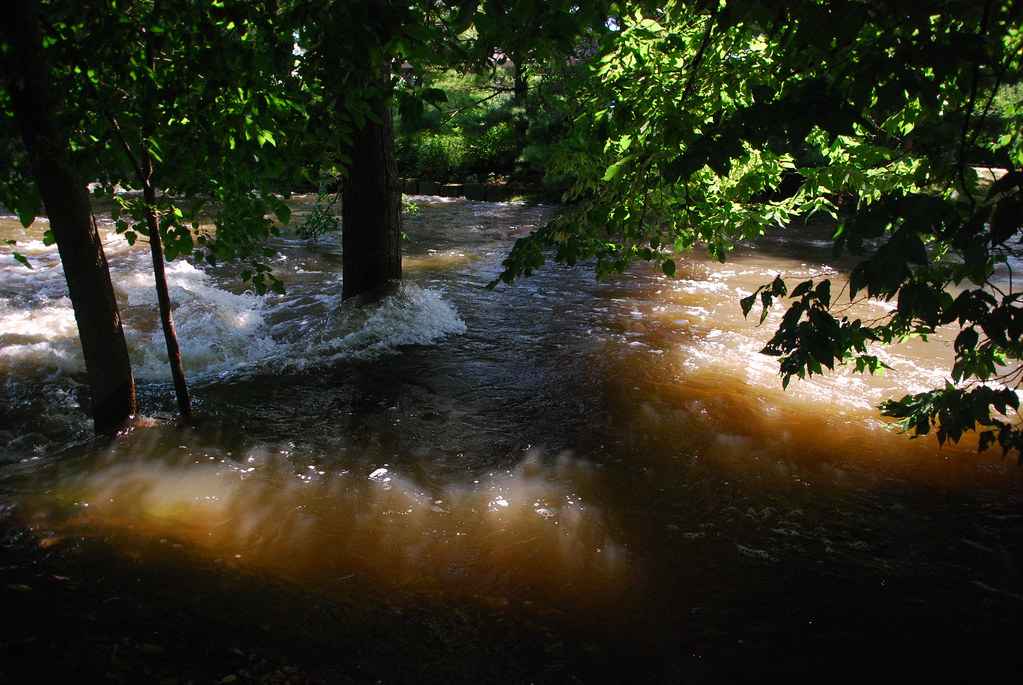 Naperville Riverwalk Flood 157