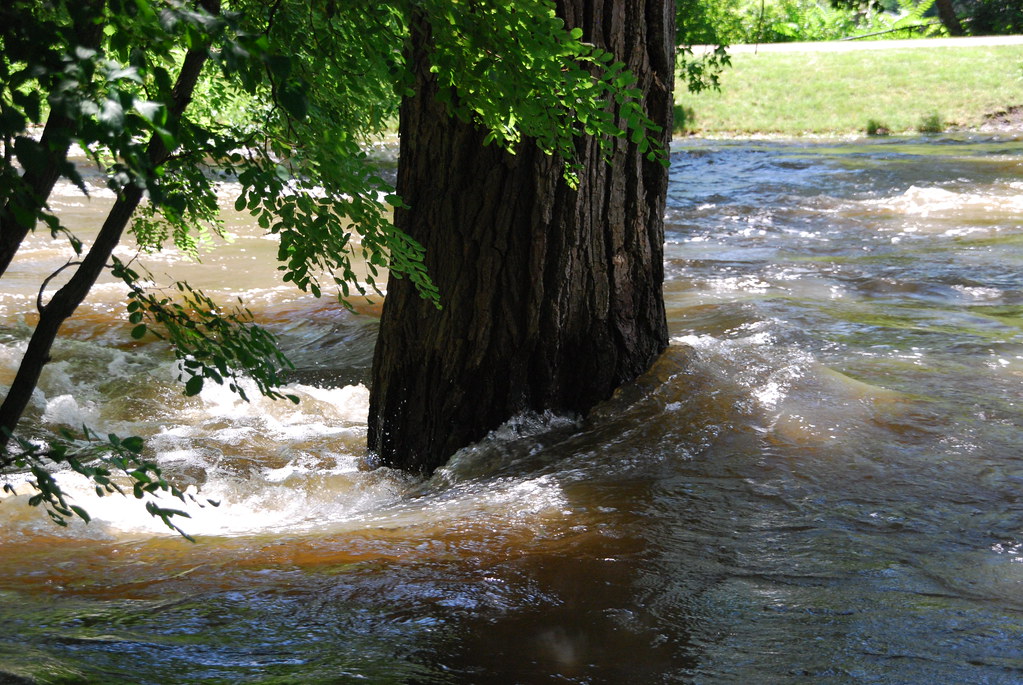 Naperville Riverwalk Flood 161