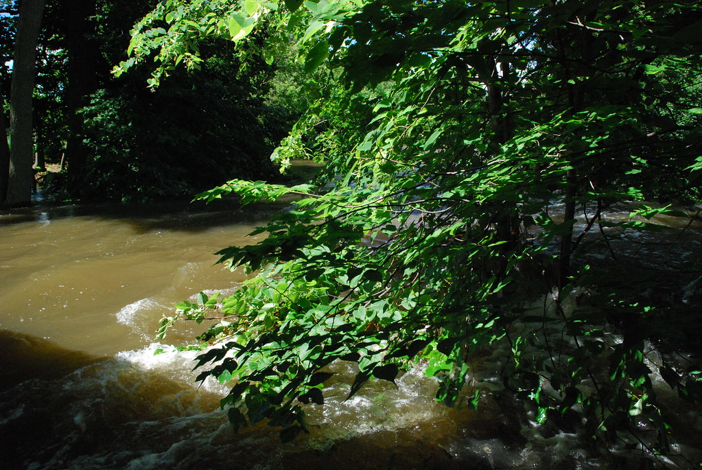 Naperville Riverwalk Flood 183