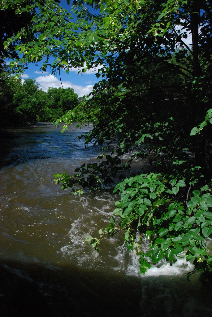 Naperville Riverwalk Flood 189