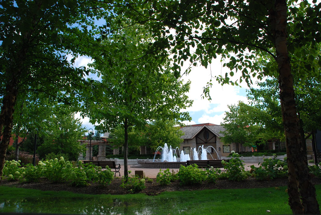 Naperville Riverwalk Flood 010