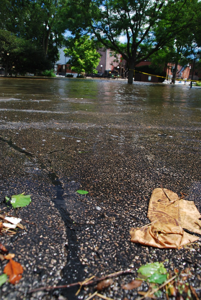Naperville Riverwalk Flood 080