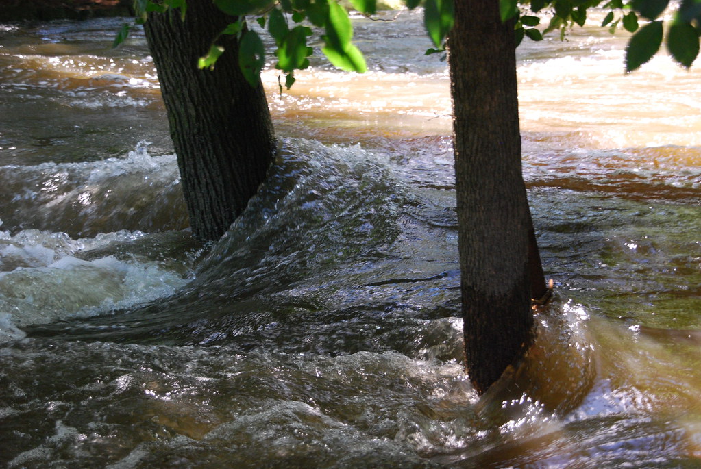 Naperville Riverwalk Flood 154