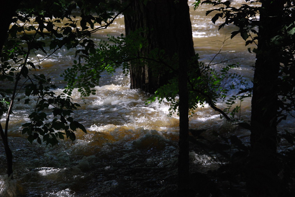 Naperville Riverwalk Flood 159