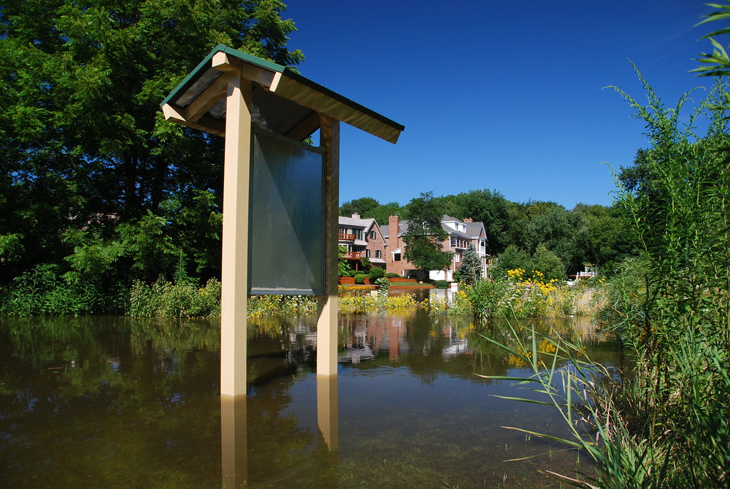 Naperville Riverwalk Flood 003