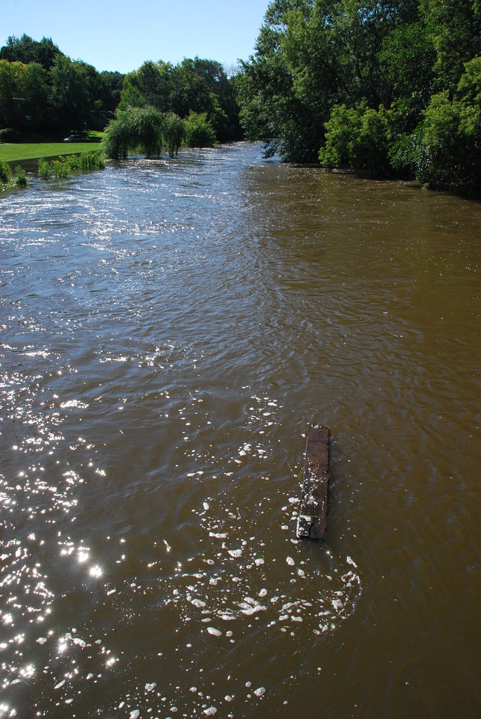 Naperville Riverwalk Flood 045