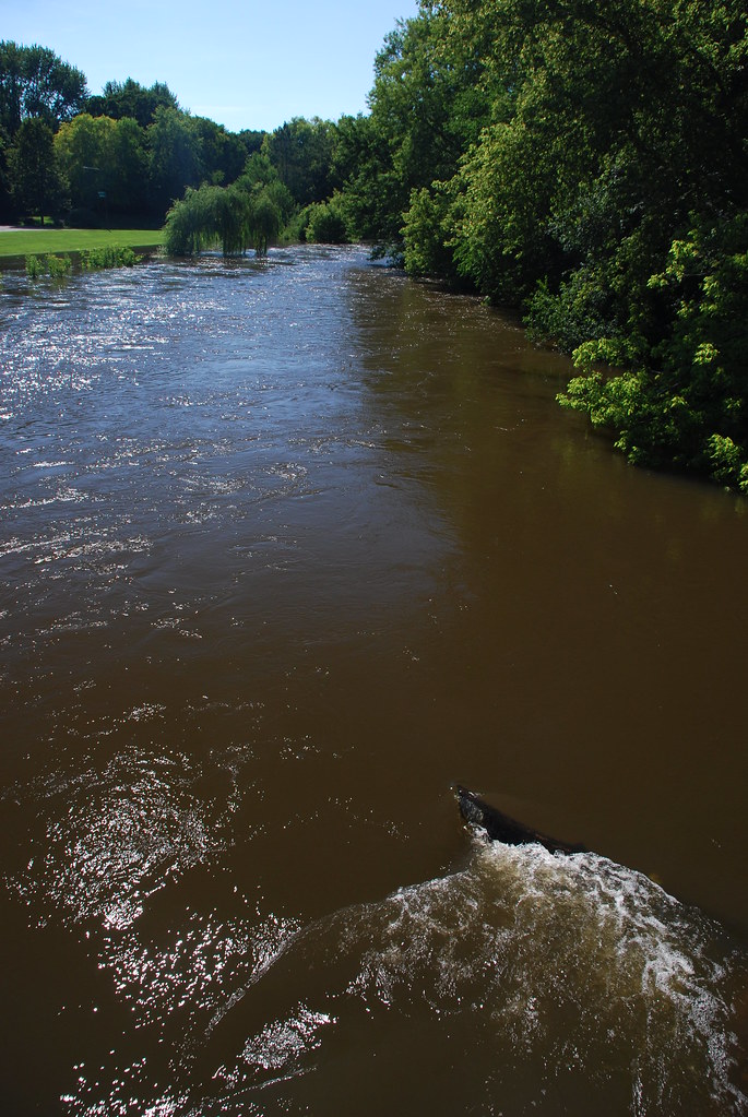 Naperville Riverwalk Flood 080