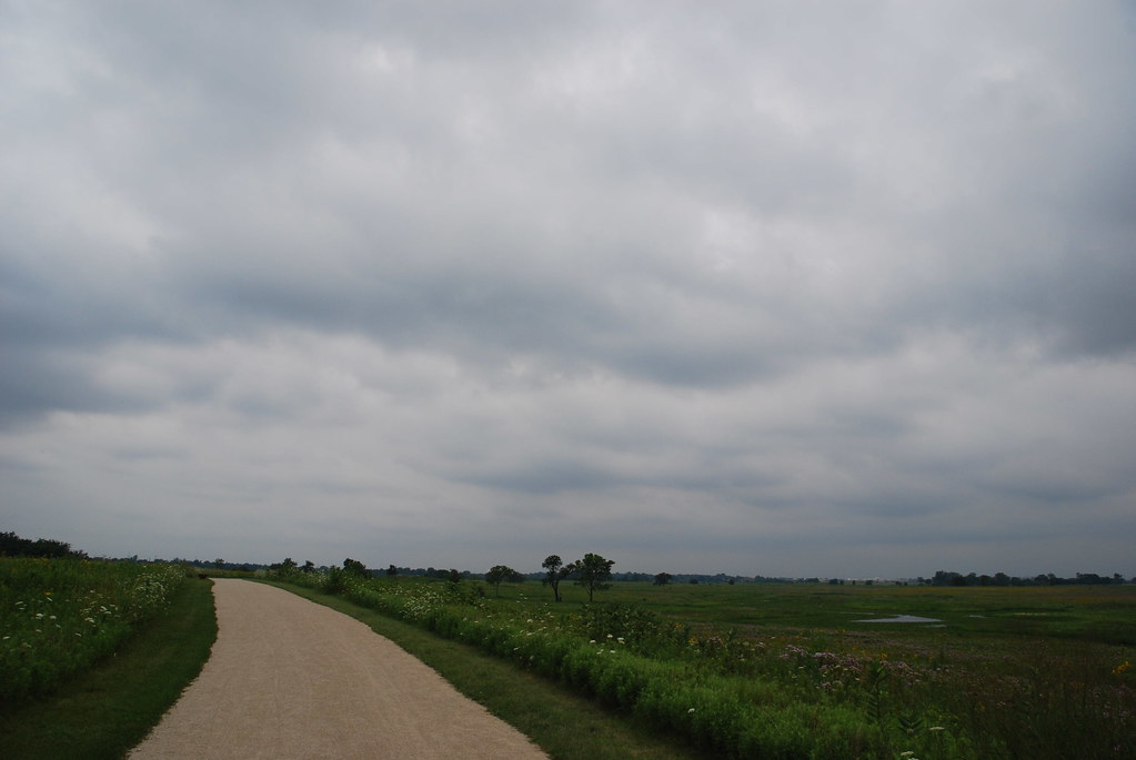 Naperville Springbrook Prairie
