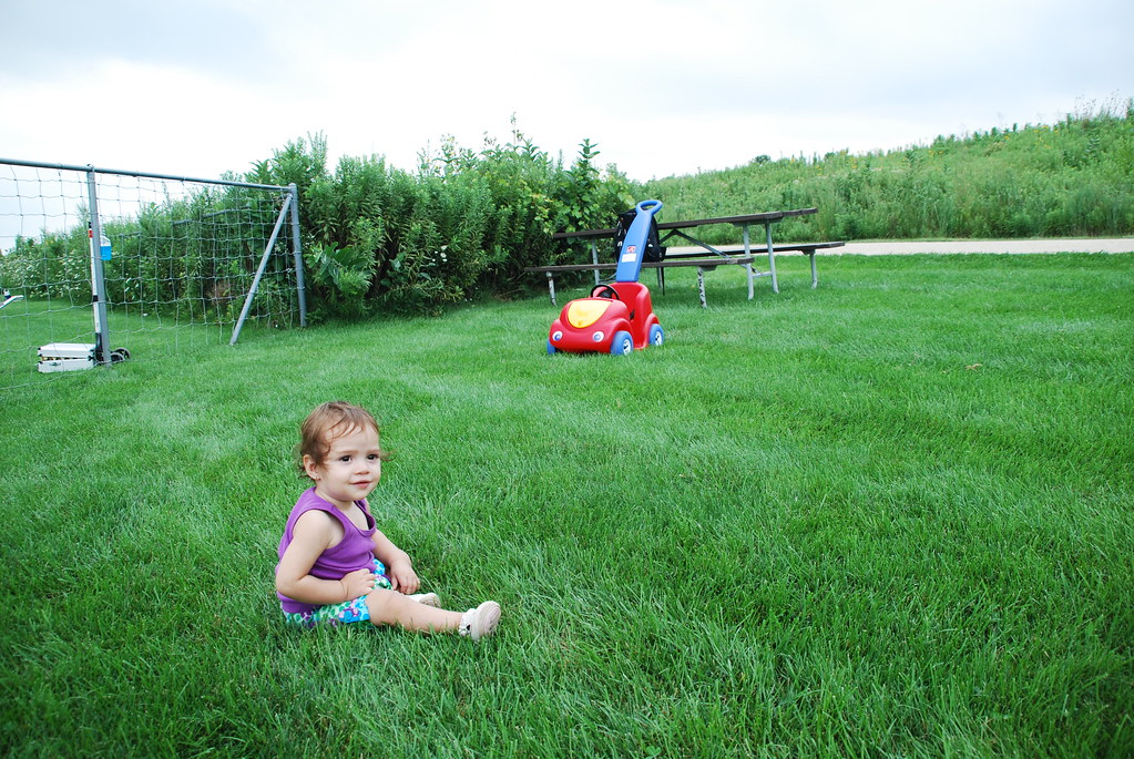 Naperville Springbrook Prairie Model Aircraft Field 099