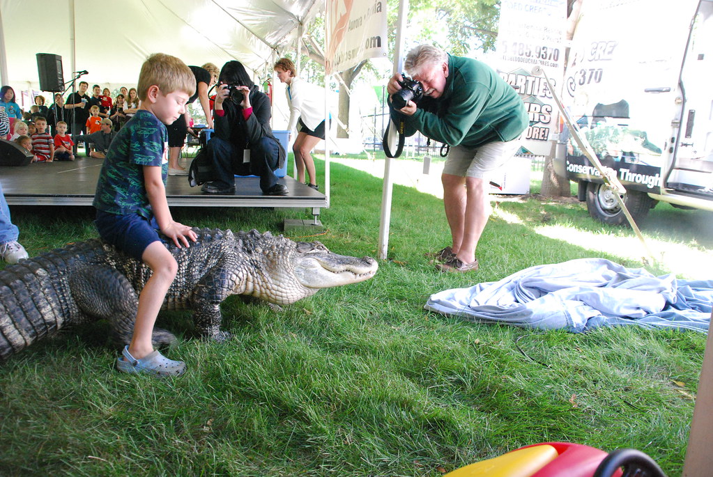 Boy Riding Alligator at Naperville Last Fling