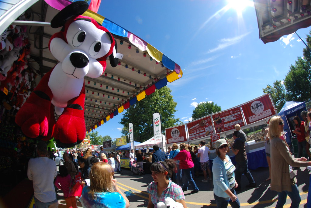 Naperville Last Fling Carnival 212