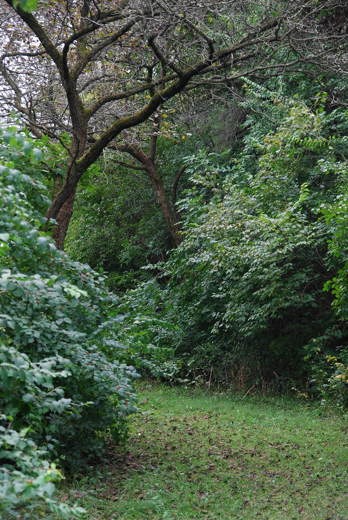 Waterfall Glen 001