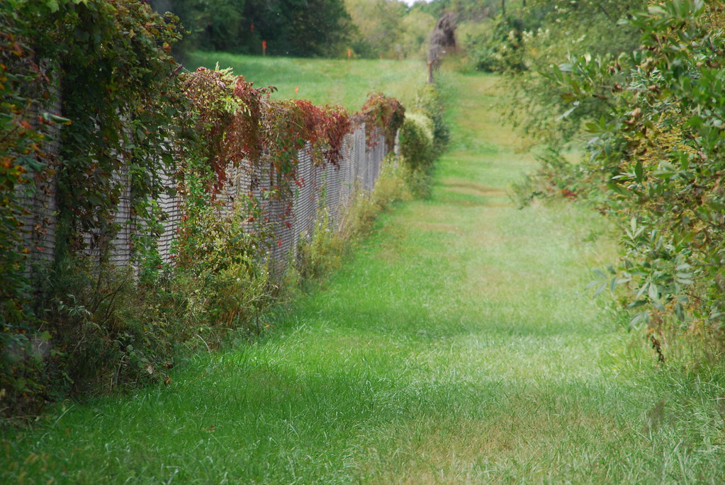 Waterfall Glen 042