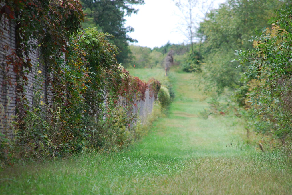 Waterfall Glen 038