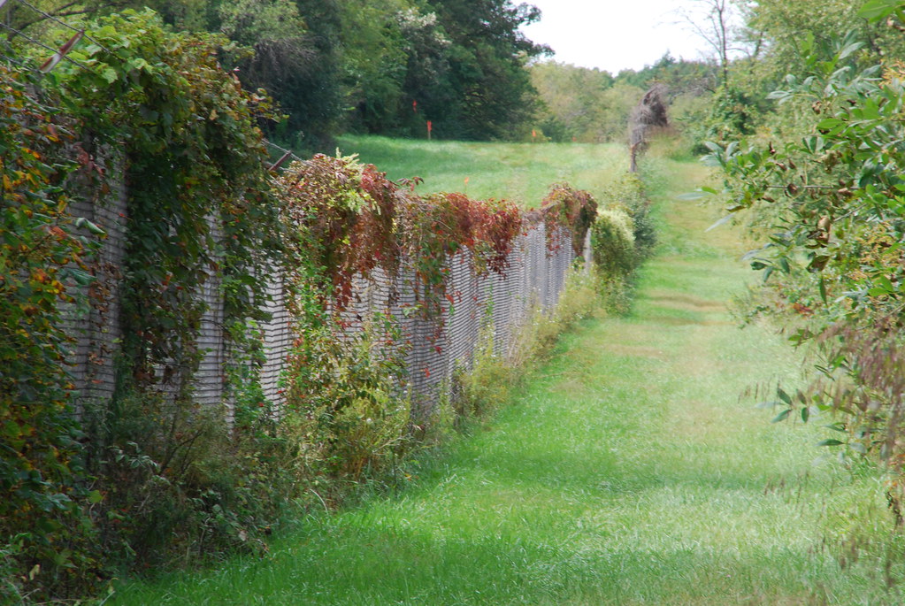 Waterfall Glen 043