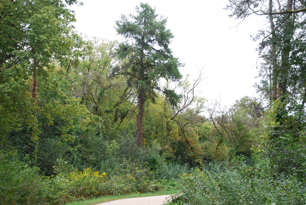 Waterfall Glen 052