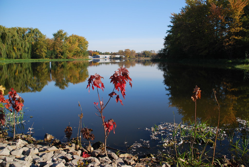 Autumn at Fermilab 003