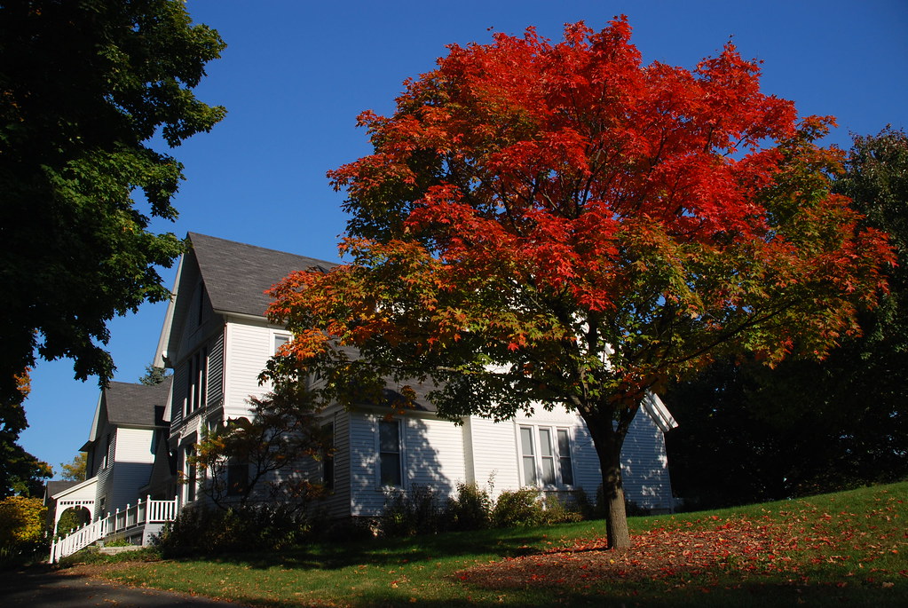 Autumn at Fermilab 011