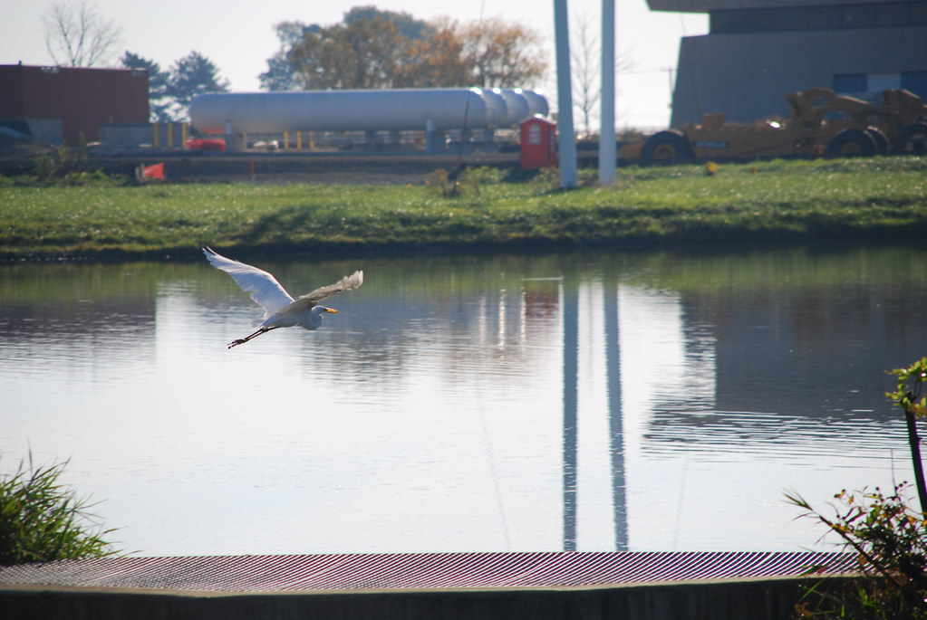 Autumn at Fermilab 032