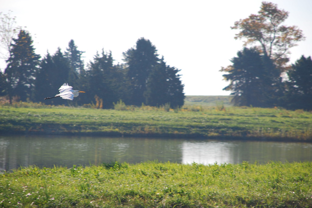 Autumn at Fermilab 036