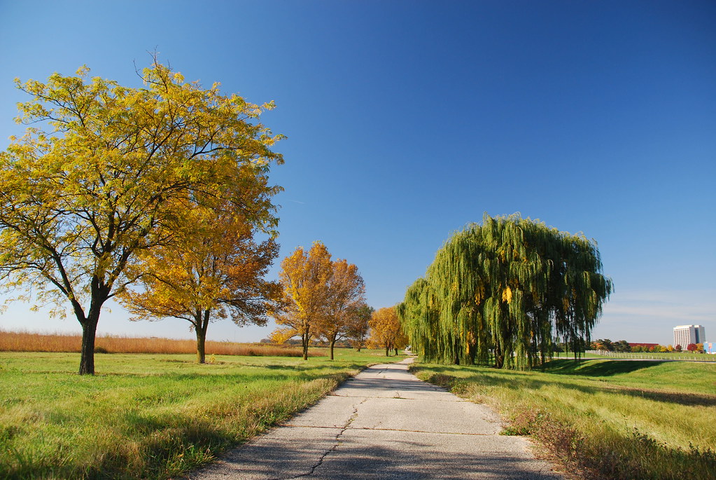 Autumn at Fermilab 052
