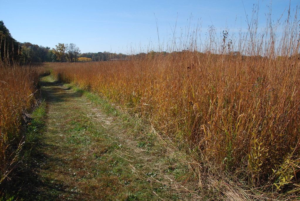 Autumn at Fermilab 091