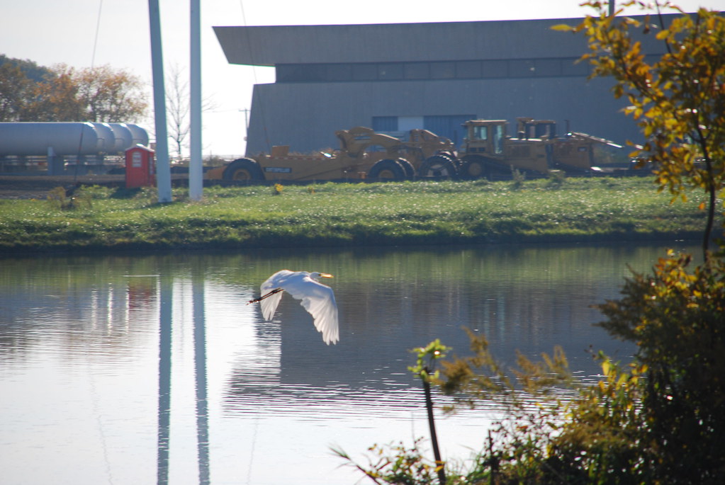 Autumn at Fermilab 033