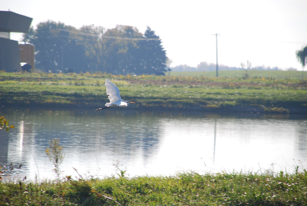 Autumn at Fermilab 035