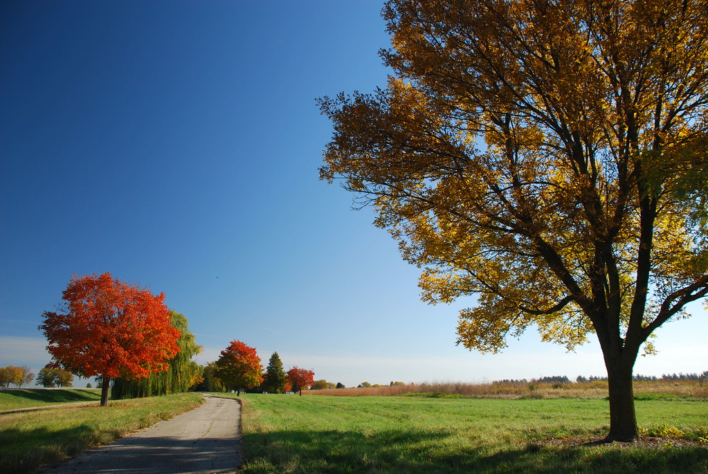 Autumn at Fermilab 048
