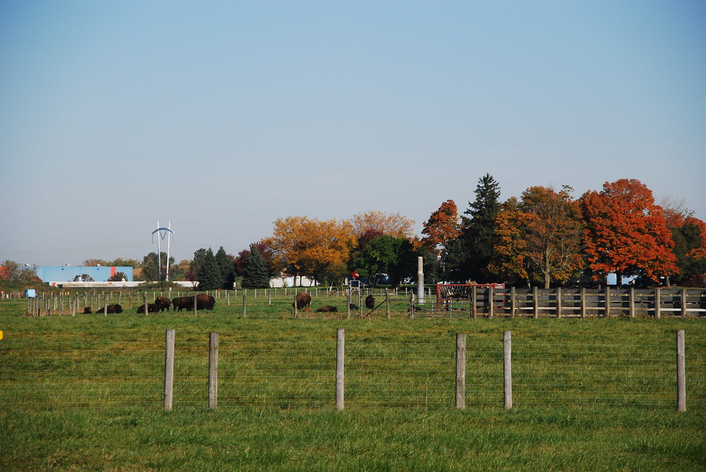 Autumn at Fermilab 055