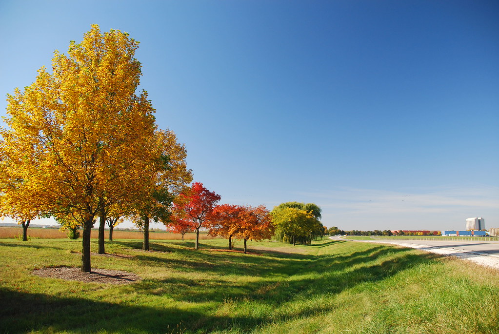 Autumn at Fermilab 058