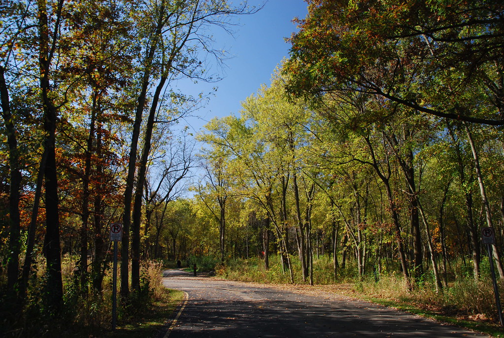 Autumn at Waterfall Glen 028