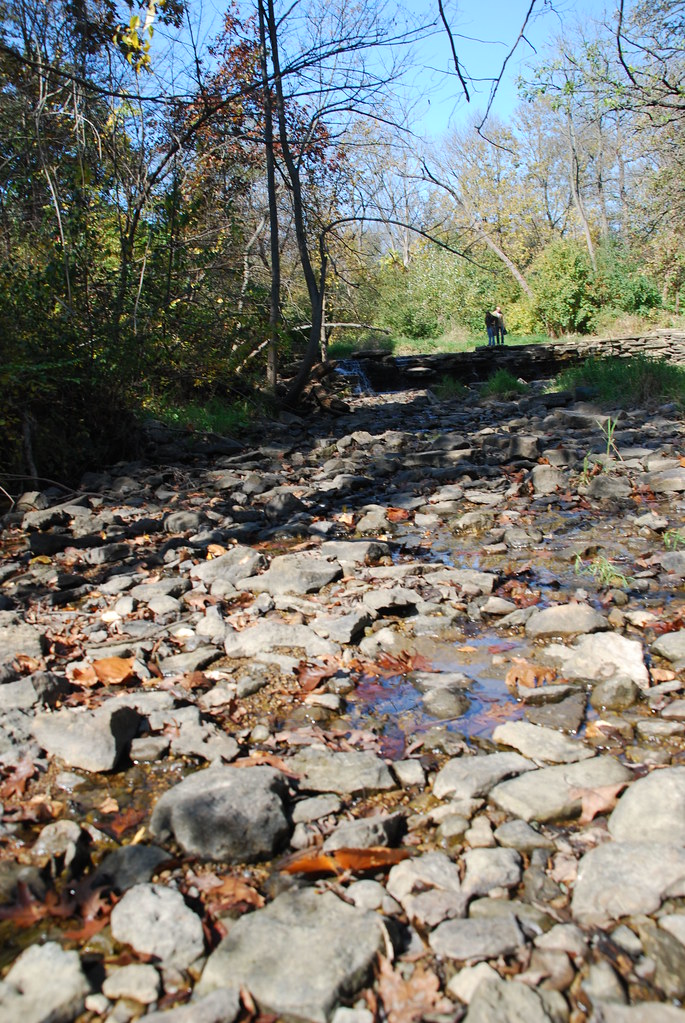 Autumn at Waterfall Glen 065
