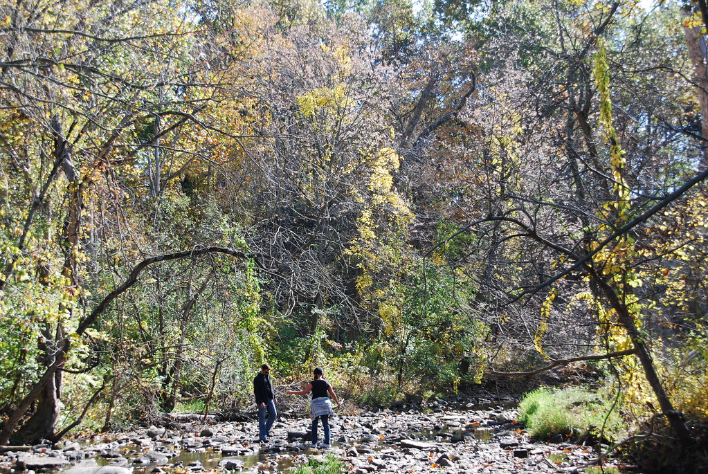 Autumn at Waterfall Glen 074