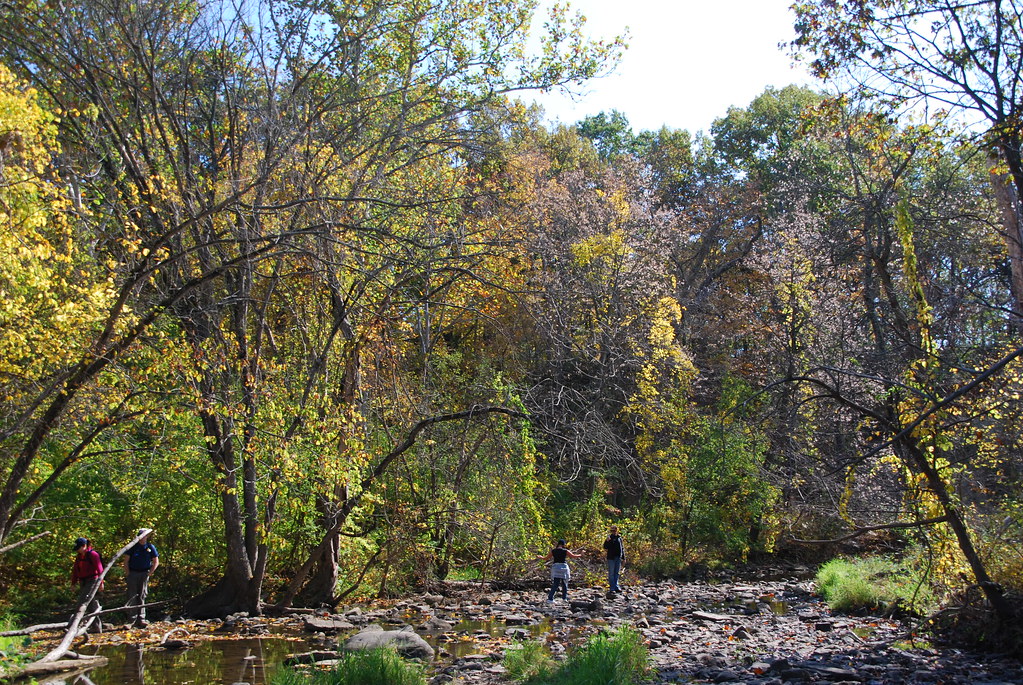 Autumn at Waterfall Glen 075